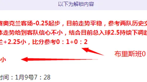 小蜘蛛独中两元，恩佐助威，罗梅罗失误成巴西败因
